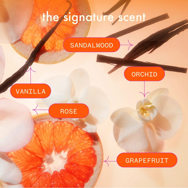 super-sized signature set normcore shampoo and conditioner + soulfood mask
